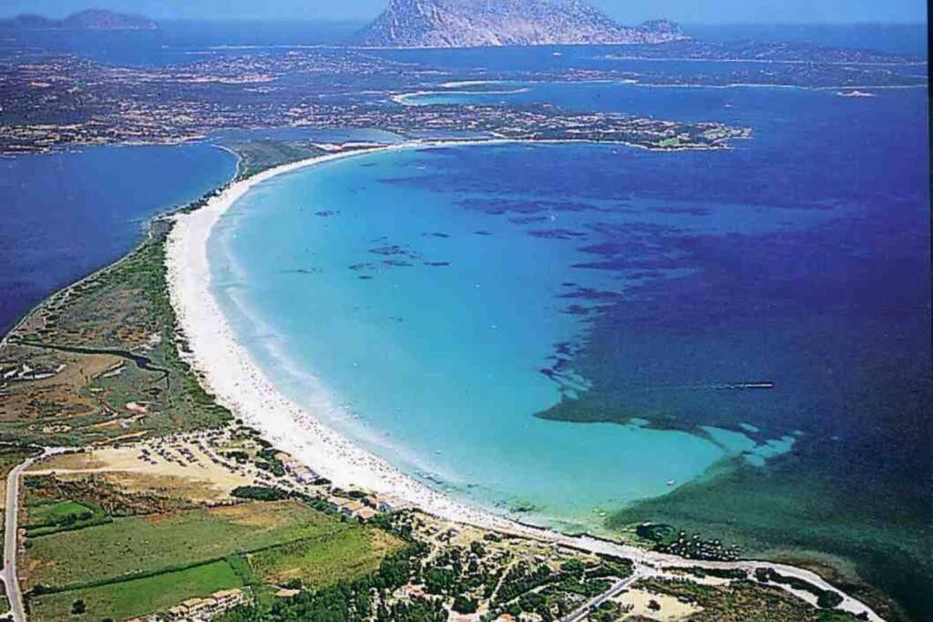 Villa Molly San Teodoro  Exteriér fotografie